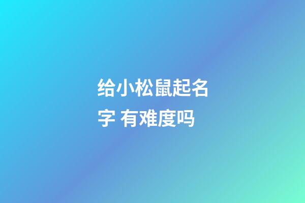 给小松鼠起名字 有难度吗